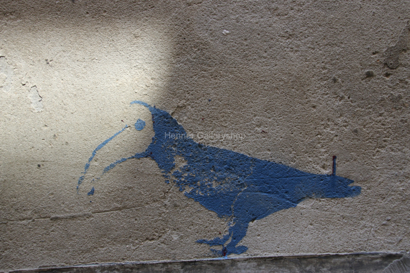 Grafitti, Blauer Rabe