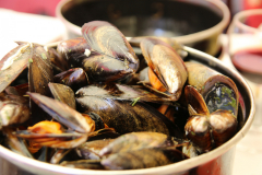 Miesmuscheln gekocht