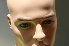 Schaufensterpuppe, männlich