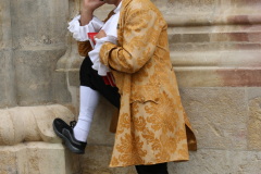 Mann in Kostüm, Wien