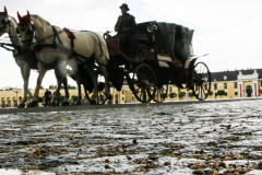 Kutsche vor Schloss Schönbrunn, Wien