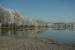 Bäume am See, Rauhreif