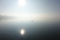 Nebel über dem Ammersee