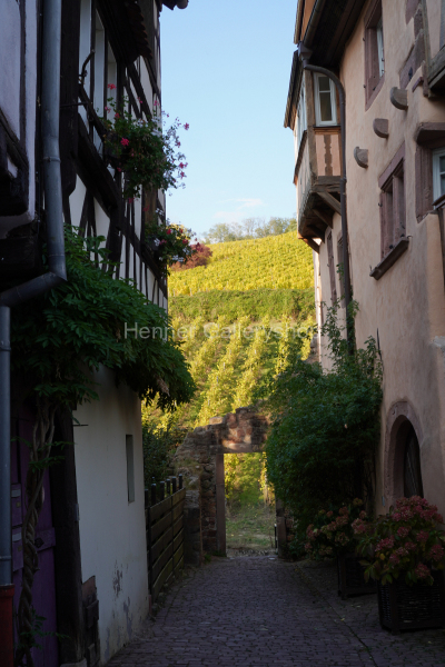 Gasse mit Durchblick auf Weinberg Elsaß