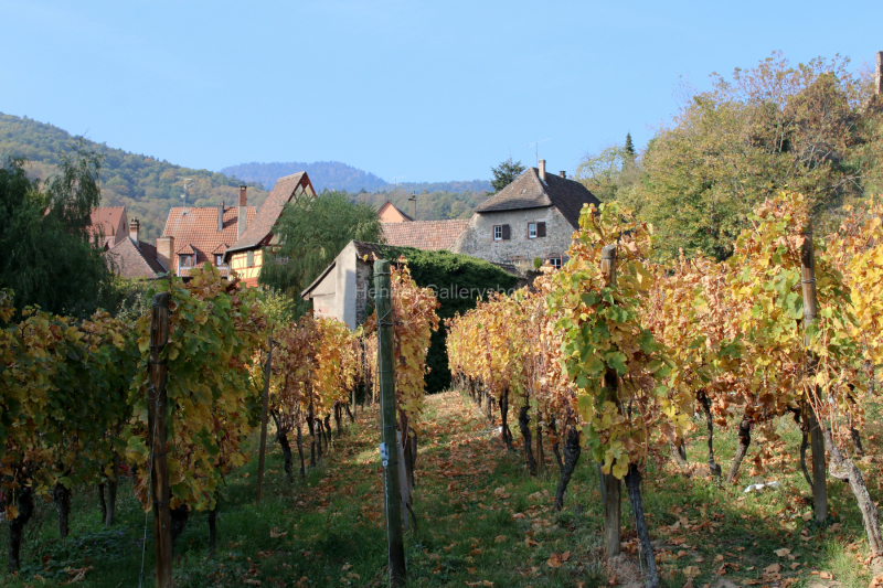 Kaysersberg, Elsaß