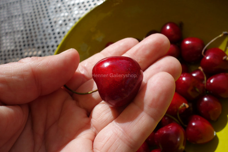 Kirsche in der Hand
