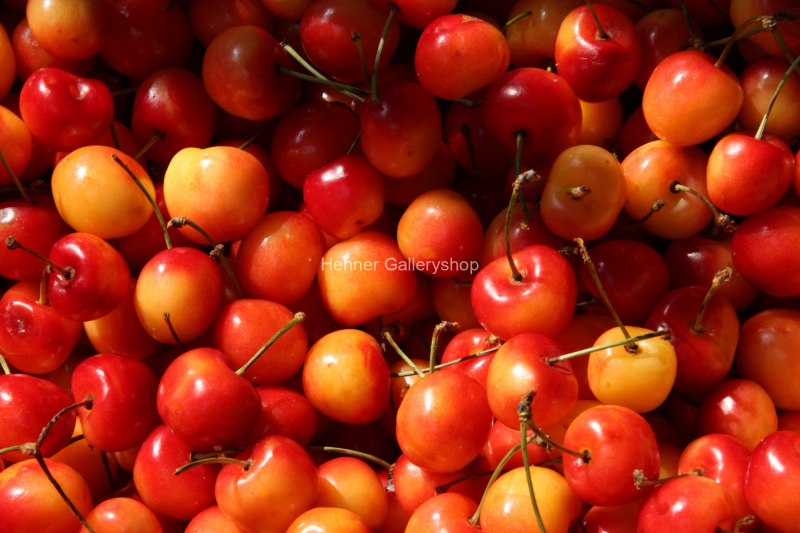 rote Kirschen
