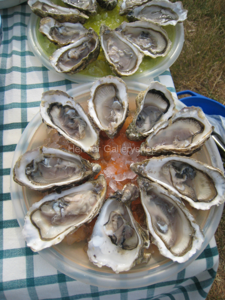 Austern, Meeresfrüchte
