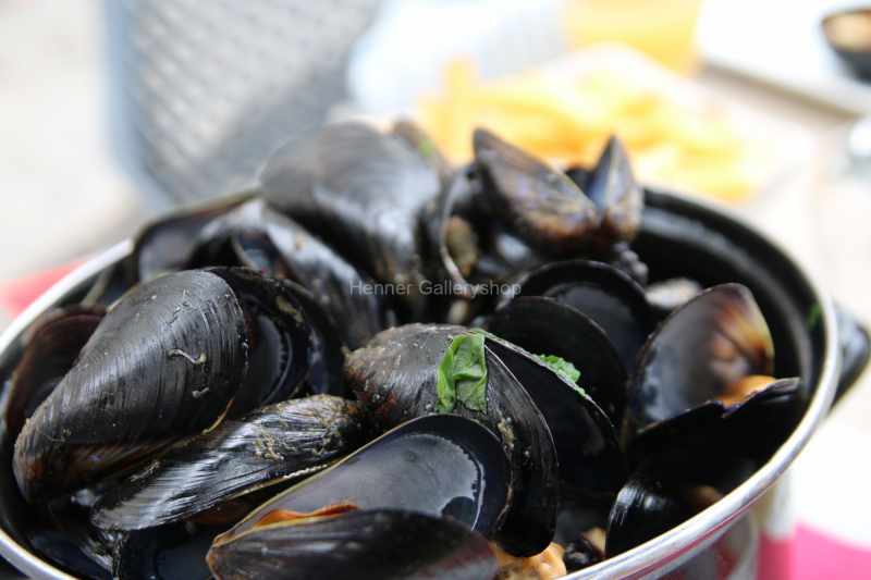 Miesmuscheln gekocht in Schale