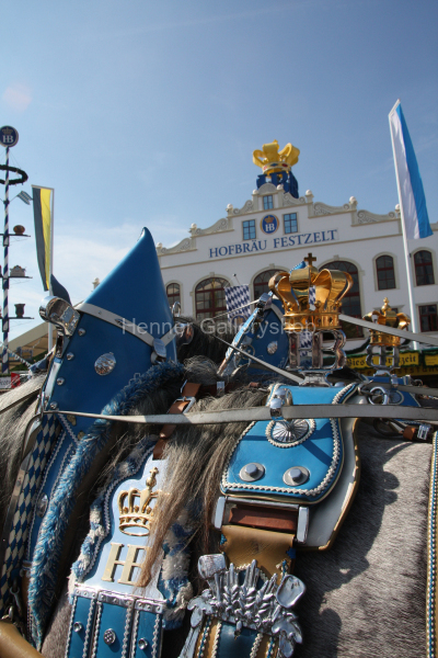 Sattel Oktoberfestgaul, München
