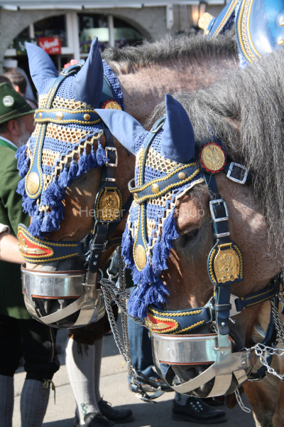Oktoberfestgaul, München