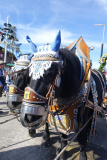Oktoberfest, Pferdegespann, München