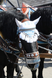 Oktoberfest Pferd, München