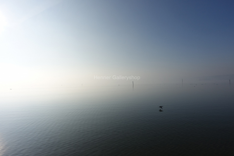 Ammersee im Nebel