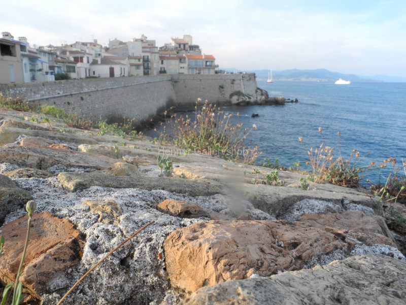 Antibes Rampart