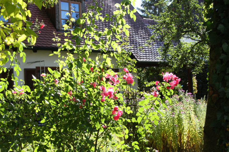 Sommergarten