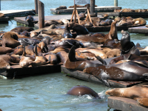 100NIK4-DSCN0662_DSCN0662