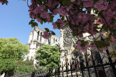 Notre Dame, Paris