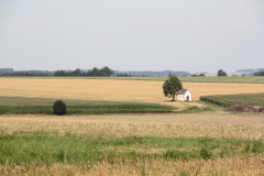 Kapelle auf dem Feld