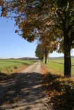 Feldweg im Herbst
