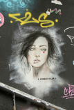 DSC03337