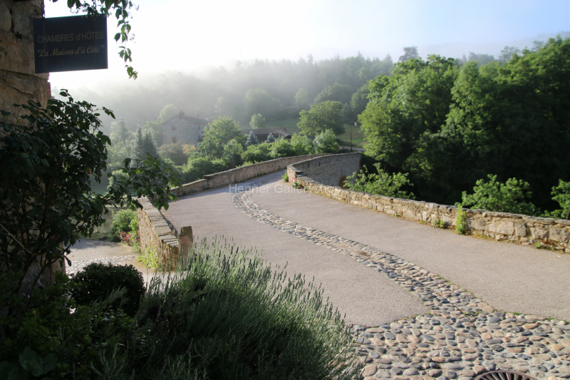 Landstrasse zum Teil im Nebel