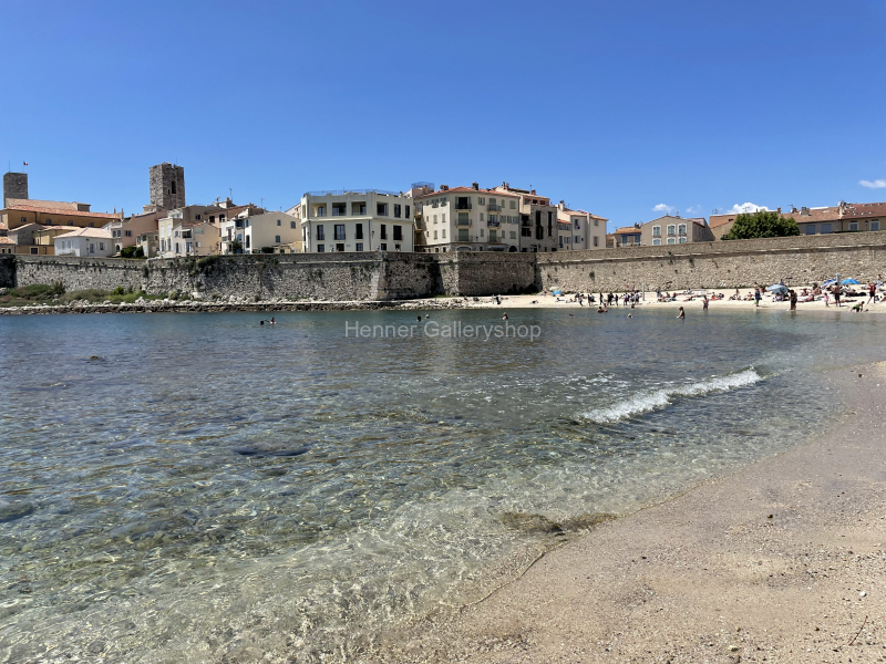 IMG_8530