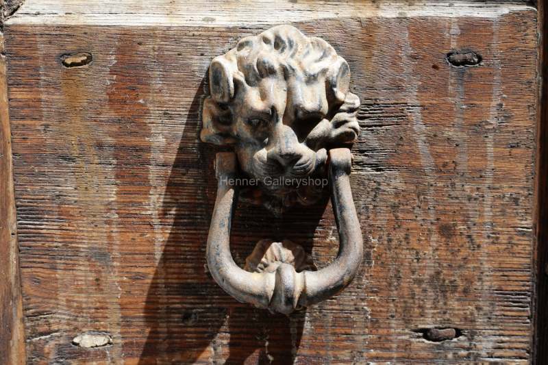 Türklopfer mit Löwenkopf vor brauner Tür